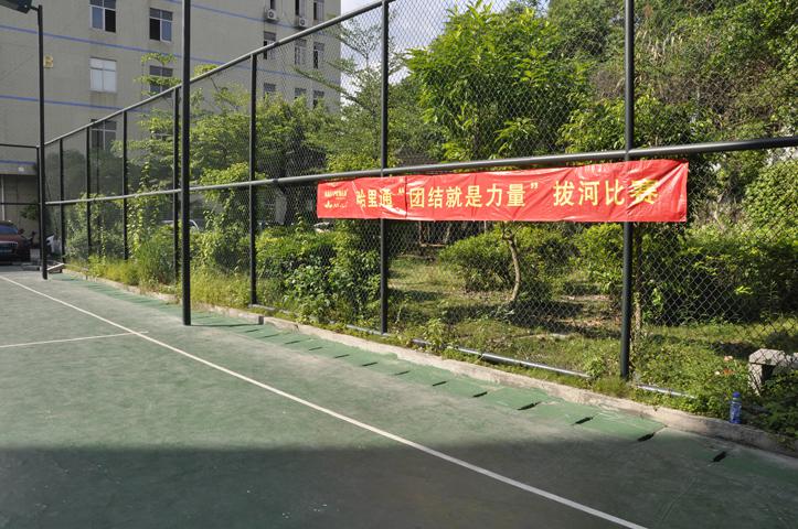 哈里通“團結(jié)就是力量”拔河比賽。