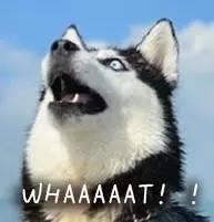 網(wǎng)盤(pán)停止免費(fèi)服務(wù),你的資料下載好了嗎?